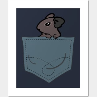 Degu in Pocket Posters and Art